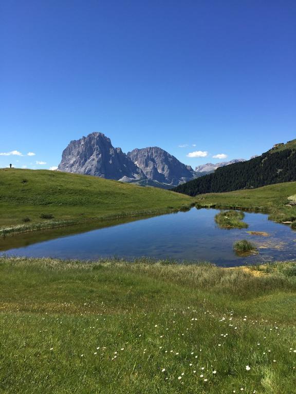 Отель Garni Mezdi Santa Cristina Val Gardena Экстерьер фото